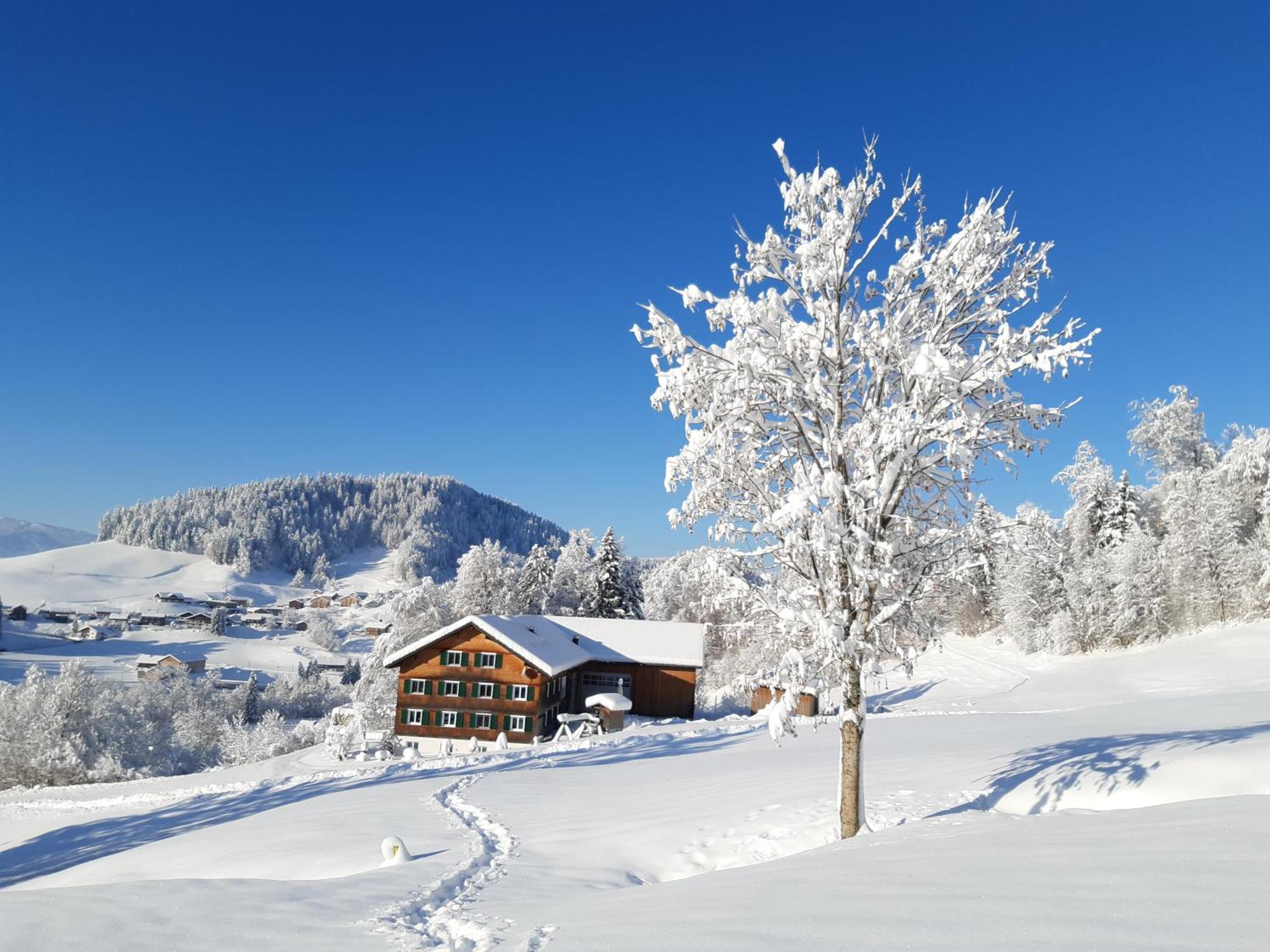 Ferienhof Duerlinde ฮิตทีเซา ภายนอก รูปภาพ