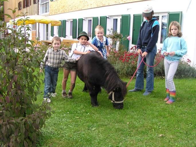 Ferienhof Duerlinde ฮิตทีเซา ภายนอก รูปภาพ
